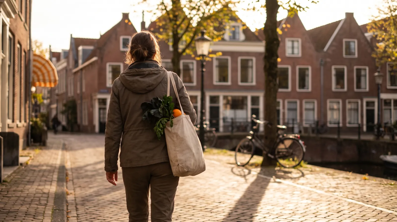 Welke vitamine voor energie? Negen nutriënten en de cijfers erachter